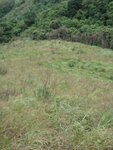 PA023101