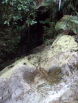 澗旁有一山洞
PA023146