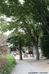 JPN00334