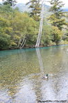 田代池
JPN00802