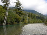 JPN00803