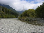 JPN00805