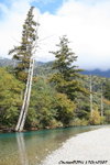 JPN00807