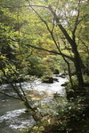 奧入瀨溪流
JPN01105