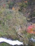 在觀瀑台旁亦有此大流瀑流落下面大尻川中
JPN02124a