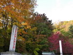 隨後往參觀二荒山神社
JPN02190
