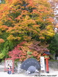 二荒山神社內
JPN02213b