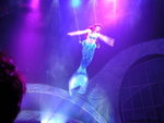 美人魚礁湖區內的劇場欣賞歌舞表演
JPN02359