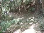 沿虎蹤徑行一段後轉左入林中小路落大城石澗及一條龍澗口
PB134012