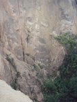 P1297384