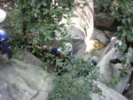 P2289706