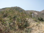落山無明路, 自己搵路落山啦
P2289731