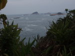大小癩痢
P3060219