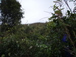 窮源離澗上山
P3060260