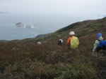覓路下山途中, 大瘌痢在望
P3060272