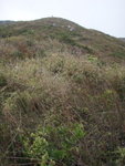 沿山脊下山往海邊去
P3060277
