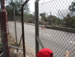 馬路對面出口, 過&#22175;這邊繼續
P3181124