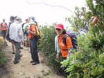 終於穿吊鐘林而出抵橫山小路
P3181141