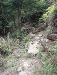 山路
P3271870
