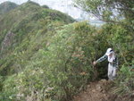 稍休後沿山脊上吊山手岩頂去
P4082272