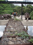 行至橋底
P4082421