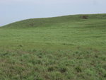老虎頭山脊上一大幅青草地
P4223591