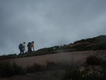 P5204847