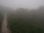 越行越大霧. 前面只見影子
P5290093