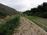 條路無乜人行, 生哂野草
P6010153