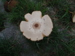 P6010156