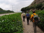 上完大坡板後轉左直行可出公路旁行人路繼續行去欣澳港鐵站
P6010164
