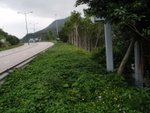 P6010166
