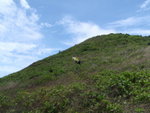 P6240123