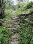 接小路轉左向上行
P7100118