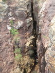 雷神洞, 洞口好長好窄的石罅
P7270064