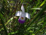 P9090063