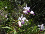 P9090065