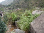 亦可行坑右旁山路
PA020319