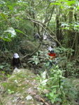 大城左源可說是在林中穿梭的陰森水道
PA230117