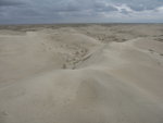 IMG_4327