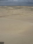 IMG_4331