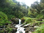 IMG_4546