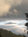 IMG_4548