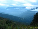 IMG_4551