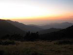 IMG_4552