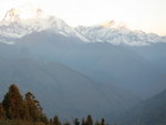 IMG_4558