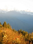 IMG_4569