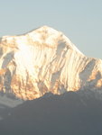 IMG_4570