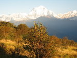 IMG_4572