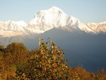 IMG_4574